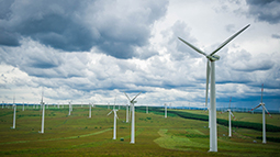 承(cheng)德(dé)禦道口風電(dian)