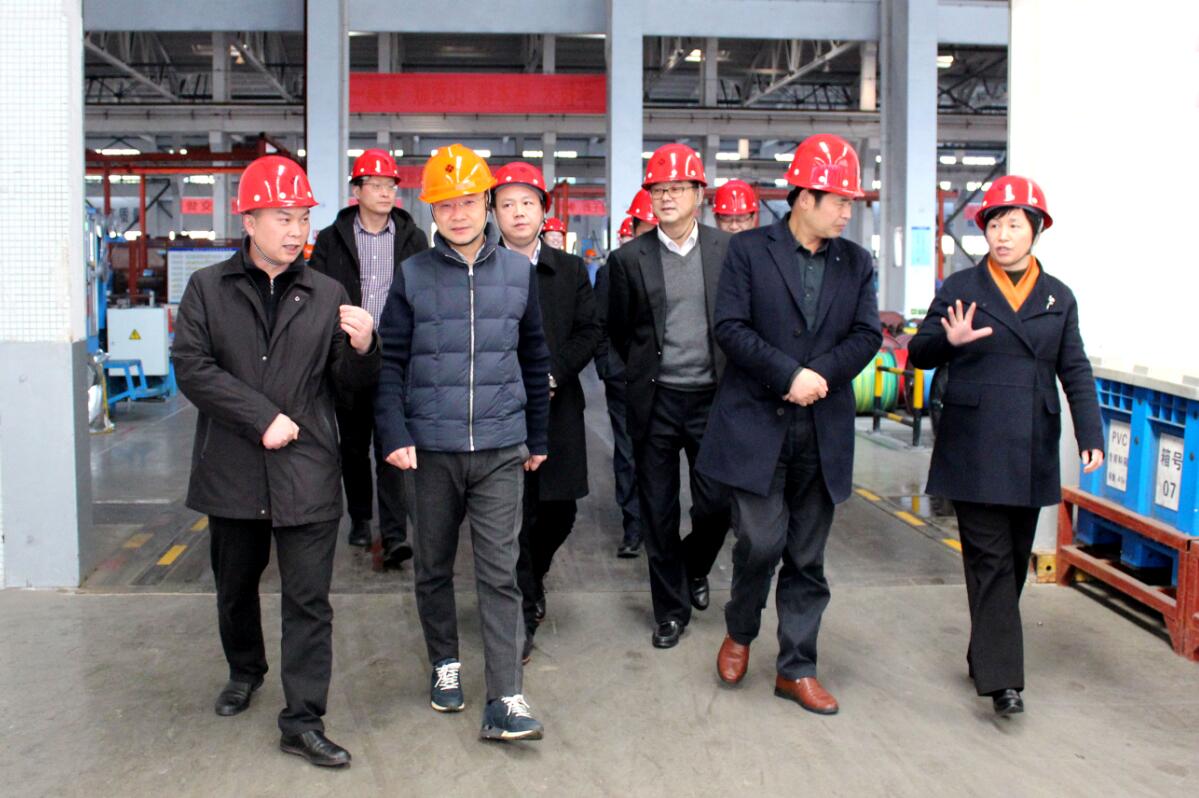2019年(nian)3月7日(ri)，廣(guang)安(an)市(shi)嶽池縣考察團(tuán)來上上電(dian)纜參觀考察